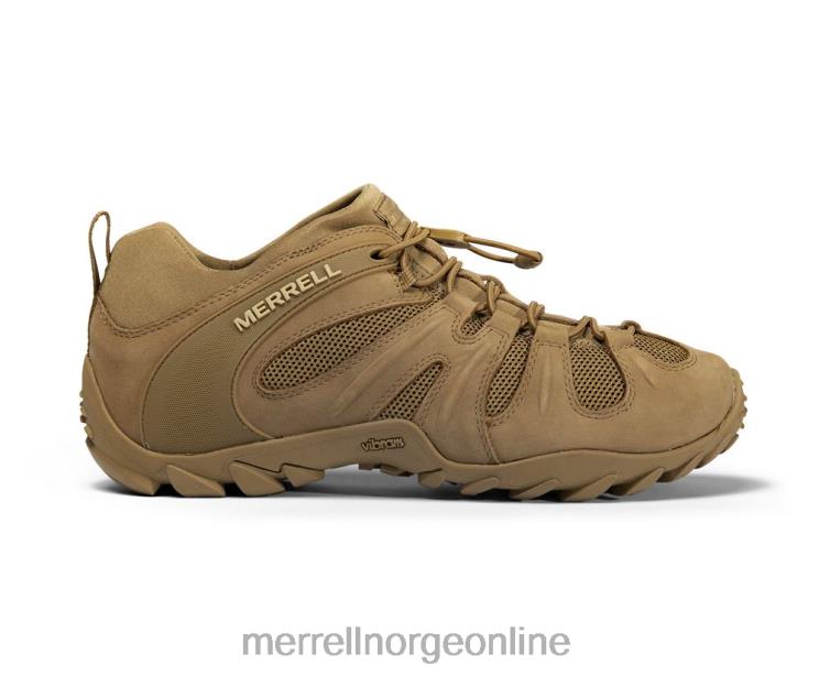 Merrell menn 004LV480 cham 8 stretch taktisk (j099407) sko prærieulv