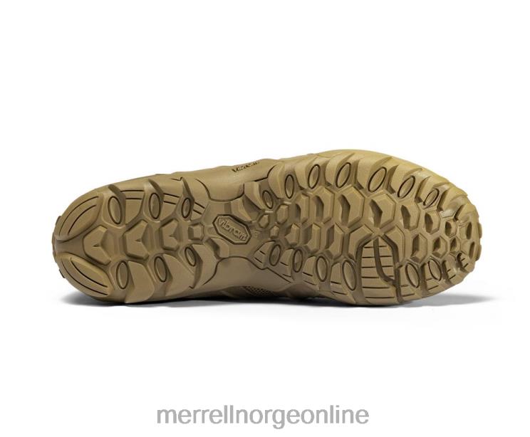 Merrell menn 004LV480 cham 8 stretch taktisk (j099407) sko prærieulv