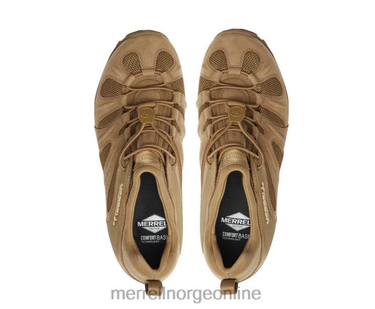 Merrell menn 004LV480 cham 8 stretch taktisk (j099407) sko prærieulv
