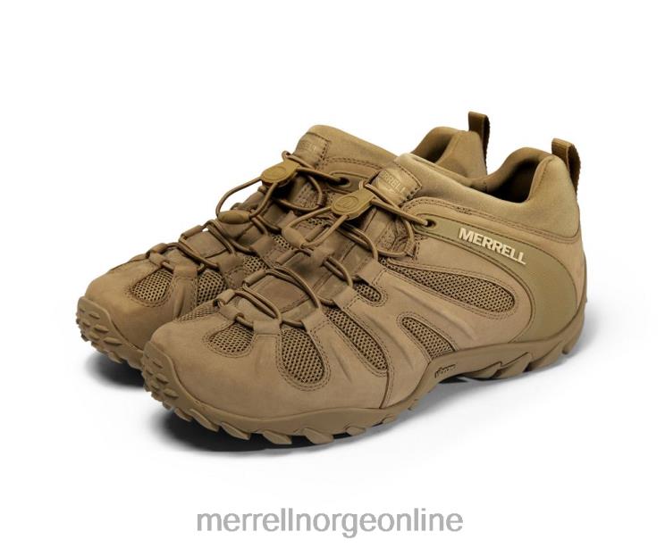 Merrell menn 004LV480 cham 8 stretch taktisk (j099407) sko prærieulv