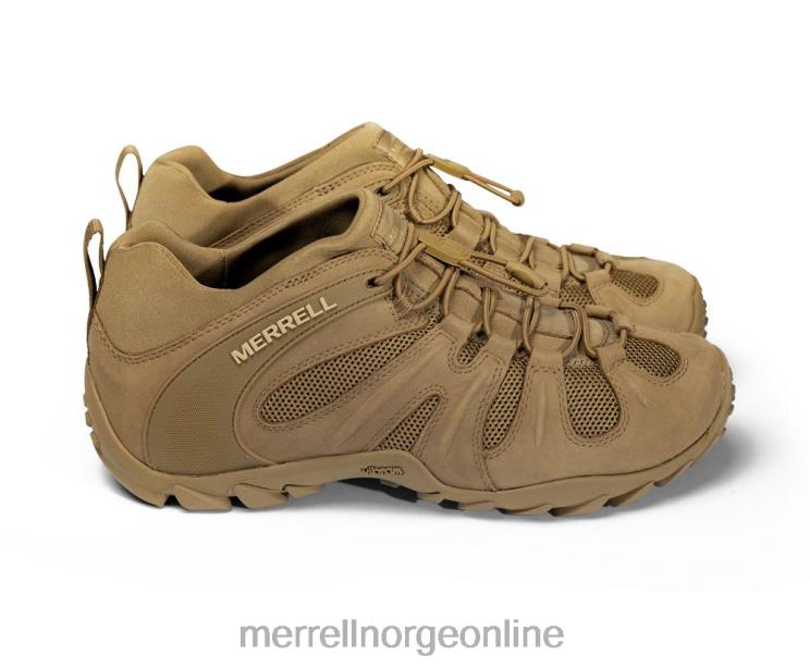 Merrell menn 004LV480 cham 8 stretch taktisk (j099407) sko prærieulv