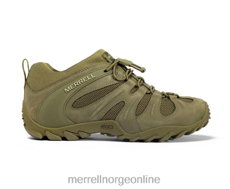 Merrell menn 004LV481 cham 8 stretch taktisk (j099409) sko mørk oliven