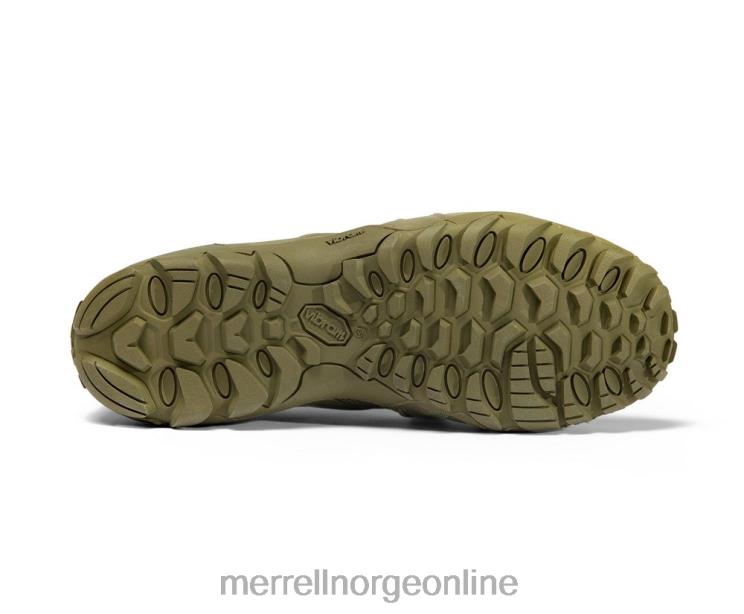 Merrell menn 004LV481 cham 8 stretch taktisk (j099409) sko mørk oliven