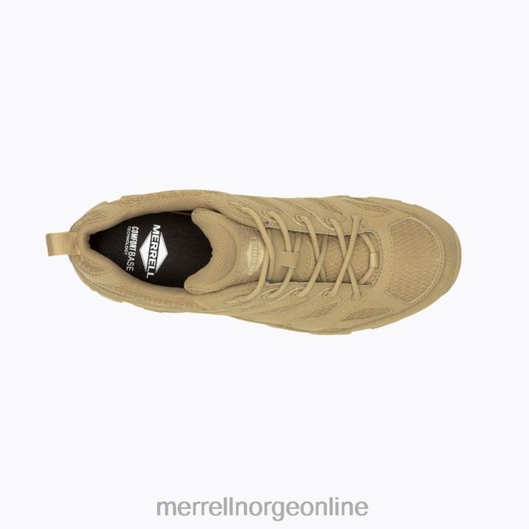 Merrell menn 004LV639 moab 3 taktisk sko (j004115) sko prærieulv