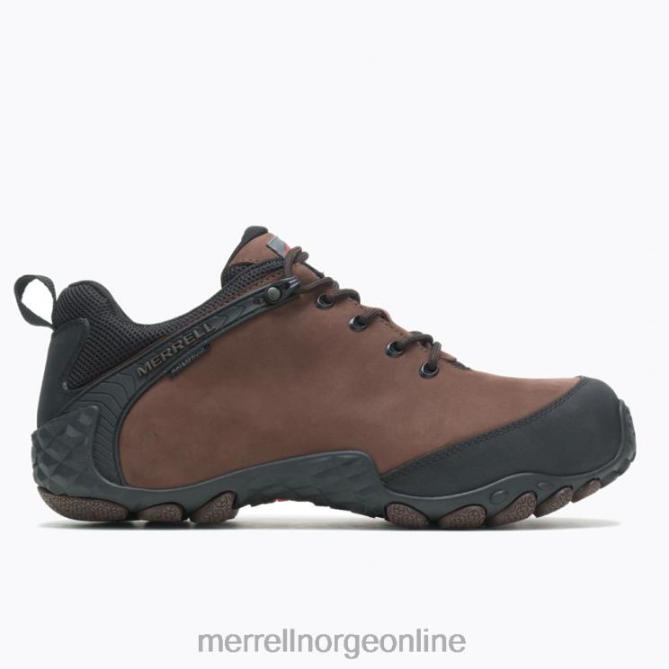 Merrell menn 004LV660 kameleon flux skinn vanntett karbonfiber (j003901) sko brun