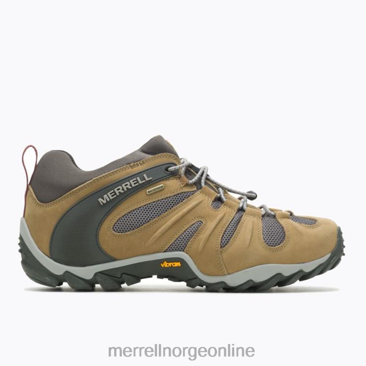 Merrell menn 004LV183 chameleon 8 stretch vanntett (j500017) sko butternut