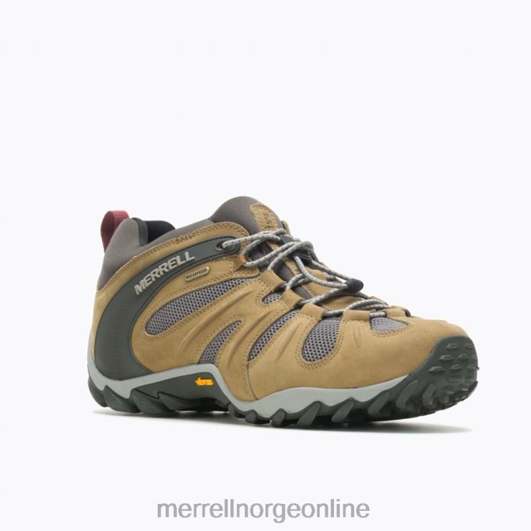 Merrell menn 004LV183 chameleon 8 stretch vanntett (j500017) sko butternut