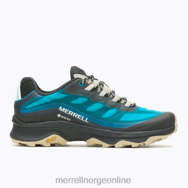 Merrell menn 004LV18 moab speed gore-tex (j067525) sko tahoe