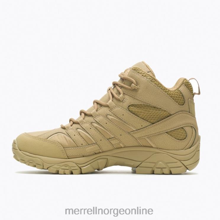 Merrell menn 004LV135 moab 2 mid taktisk vanntett støvel (j15849) sko prærieulv