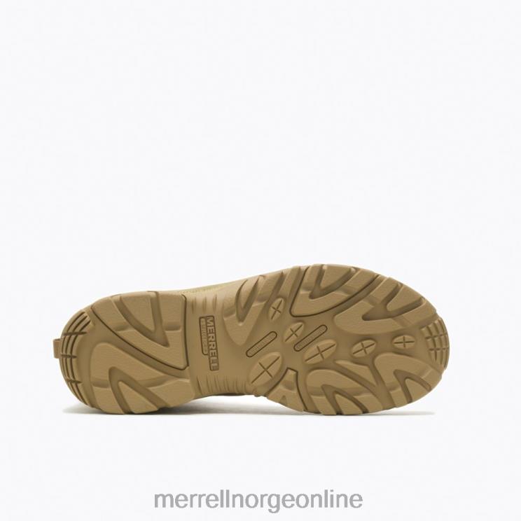 Merrell menn 004LV468 strongfield taktisk 8\'\' vanntett støvel (j099299) sko mørk coyote