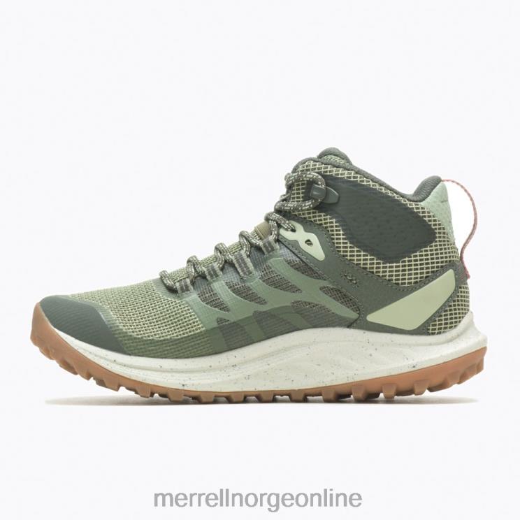 Merrell unisex 004LV1083 antora 3 mid vanntett (j067584) sko lav