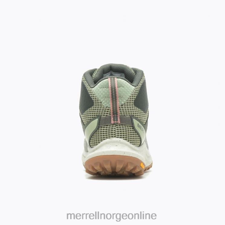 Merrell unisex 004LV1083 antora 3 mid vanntett (j067584) sko lav