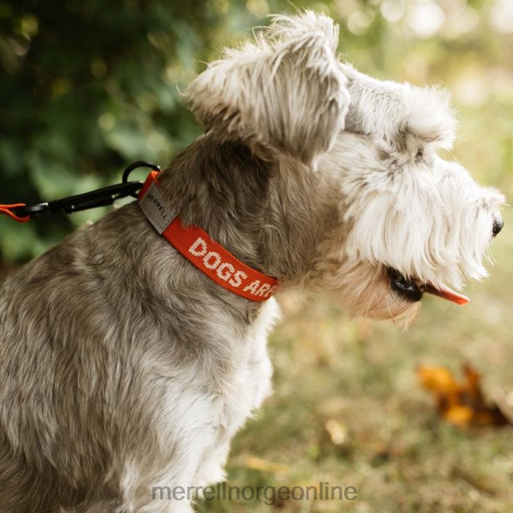 Merrell unisex 004LV267 hundehalsbånd (jaf26691-629) tilbehør poinciana