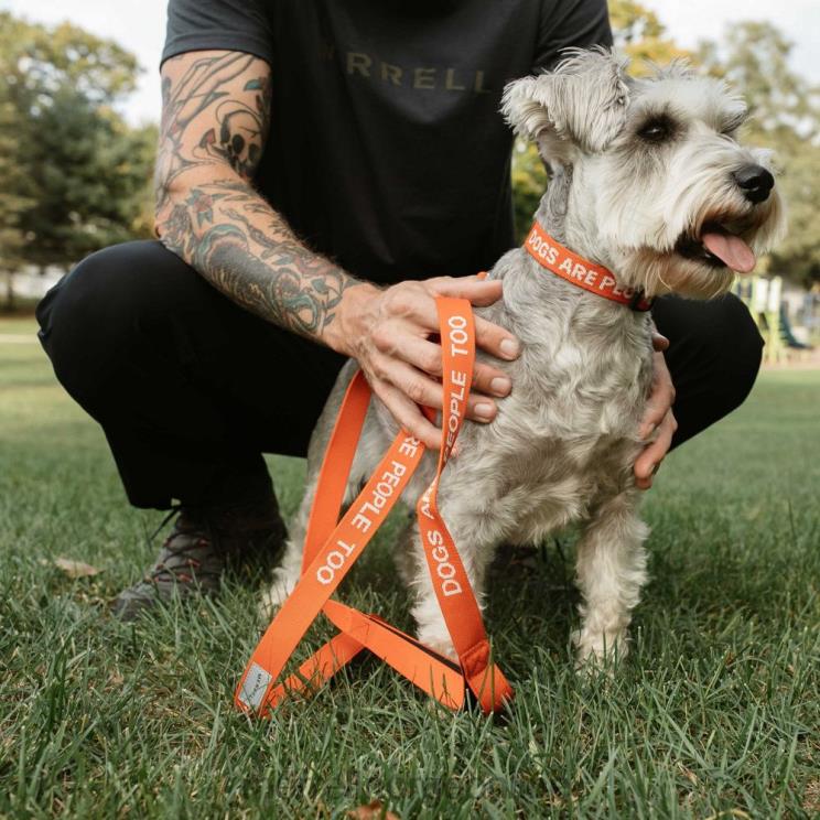 Merrell unisex 004LV267 hundehalsbånd (jaf26691-629) tilbehør poinciana