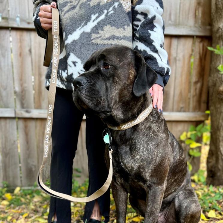 Merrell unisex 004LV460 hundebånd (jaf26689-176) tilbehør sepia fargetone