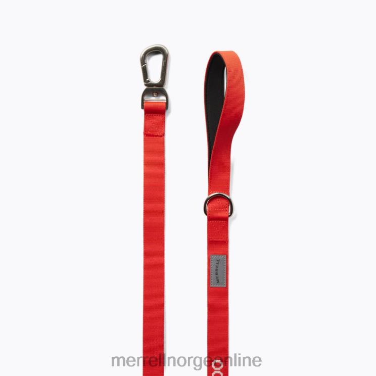 Merrell unisex 004LV462 hundebånd (jaf26689-629) tilbehør poinciana